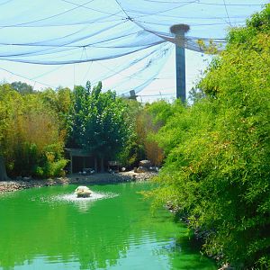 Inside the Walkthrough Aviary