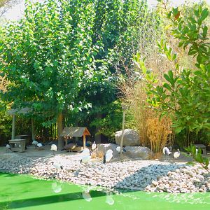 Inside the Walkthrough Aviary