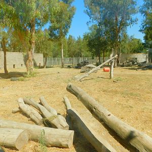 Brown Bear Enclosure