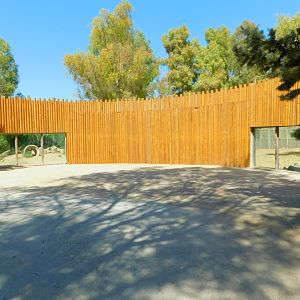 Brown Bear and Wolf Viewing Area