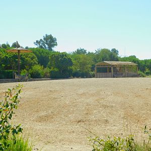 Part of African Savanna