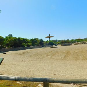 Part of African Savanna