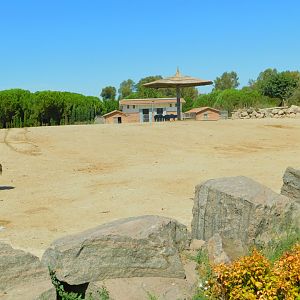 Part of African Savanna