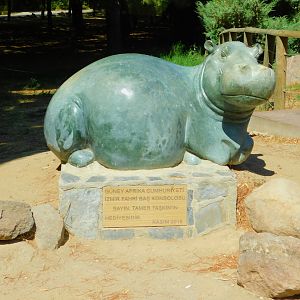 Hippopotamus Statue