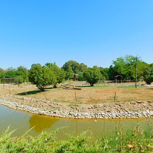 Part of Monkey islands