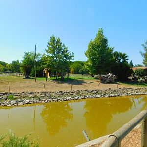 Crested Macaque Enclosure