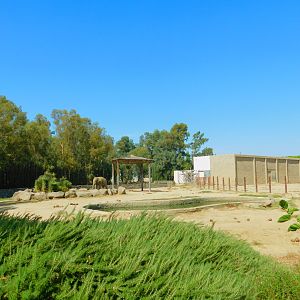 Bull enclosure