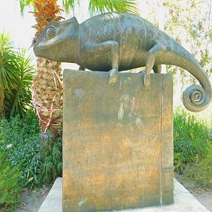 Statue of a Chameleon on a Book