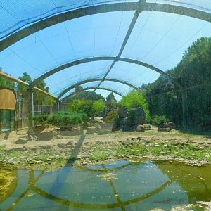 Puma Enclosure