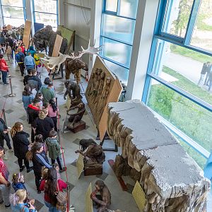 exhibit hall on the ground floor