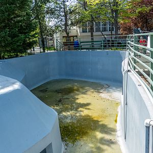 outdoor enclosure of pinnipeds