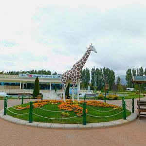 Zoo Square Across the Enterance