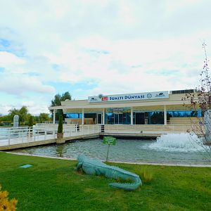 The "Underwater World"