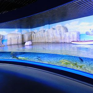 Sturgeon Tank
