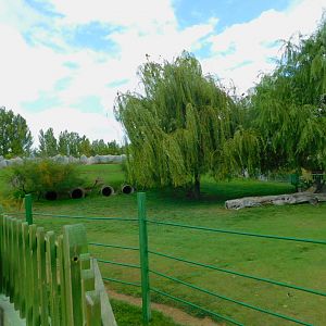 Emu and Wallaby Enclosure