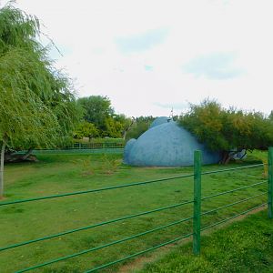 Emu and Wallaby Enclosure