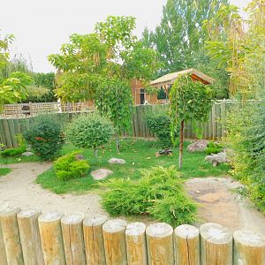 Spur-Thigh Tortoise Enclosure