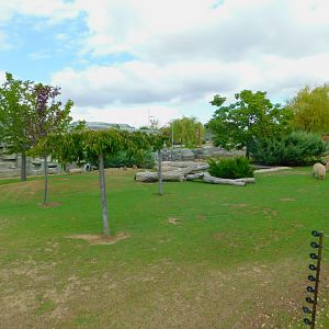 Capybara, Mara, and Lowland Paca Enclosure