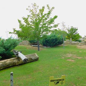 Capybara, Mara, and Lowland Paca Enclosure