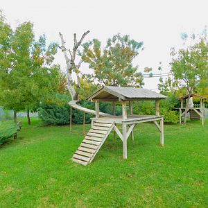 Coatimundi Enclosure