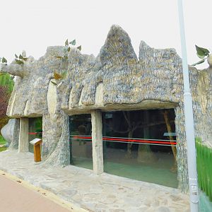 Coatimundi Enclosure