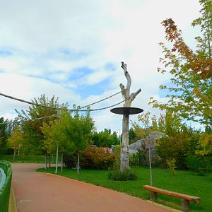 Coatimundi Enclosure Connected to a Tree