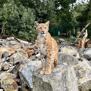 Best Pocohontas impression standing looking all noble on a rock!
