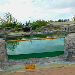 Great White Pelican Enclosure