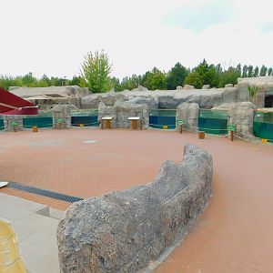 Viewing Aera for the Aquatics