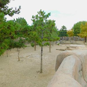 Part of Red Deer Enclosure