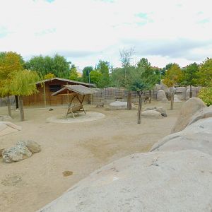 Part of Red Deer Enclosure