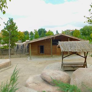 Part of the Goitered Gazelle Enclosure