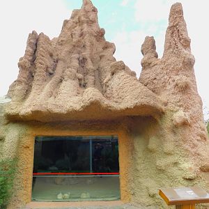 Fennec Indoor Display