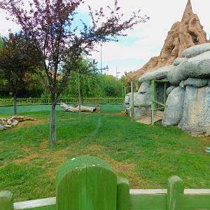 Feral Sheep/Mouflon Enclosure