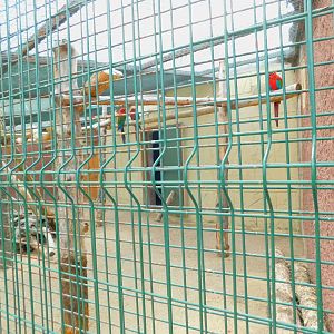 Perimeter of the Oudoor Parrot House Displays