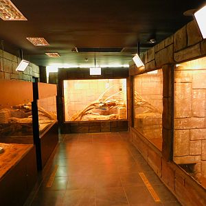 Right from the Entrance of the Tropical house