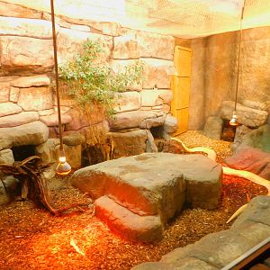 Burmese Python Enclosure
