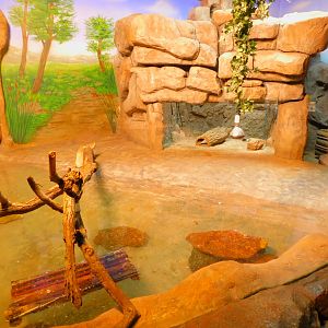 Asian Small-Clawed Otter Enclosure