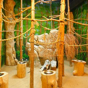 Von der Decken's Hornbill Enclose