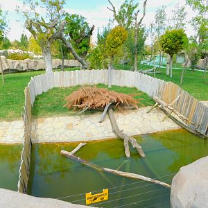Crocodile Corral (inside the Lemur Island)