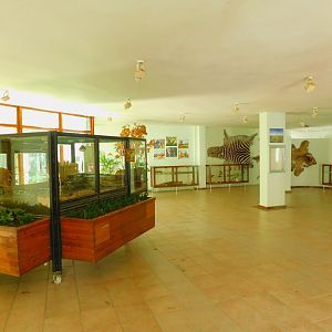 Education Hall with Turkish Spiny Mice