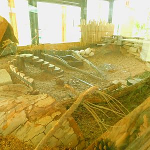 Spiny Mouse Enclosure