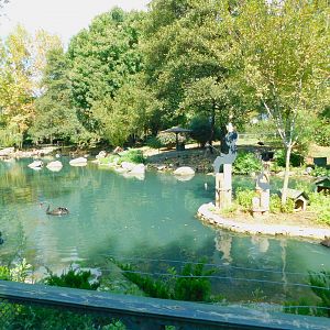 Pond Across the Entrance