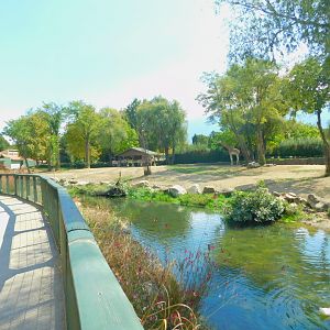 Part of the Savanna Area