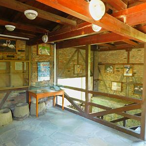 Inside the Tower within the Aviary