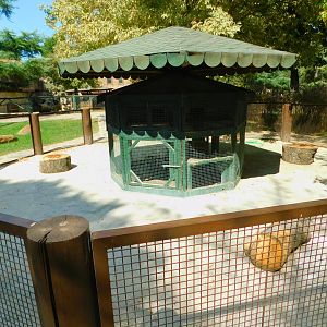 Rabbit Hutch and Pen