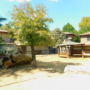 Goat Enclosure which is a part of the Turkish Village Section
