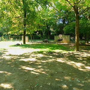 Part of the Australian Enclosure