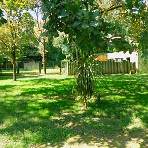 Part of the Australian Enclosure
