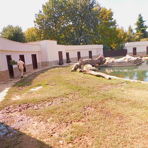 View to the South American Enclosure from the inside